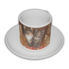 Kittens Tazza Coffee Panoramica 