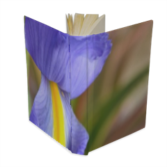 Iris viola Agenda 9 x 13 cm 