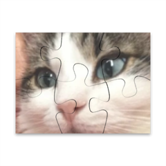 occhi di gatto Puzzle magnetico 8x6