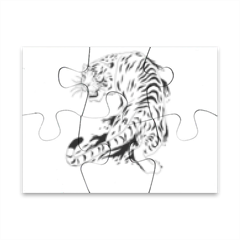 Tigre bianca  Puzzle magnetico 8x6