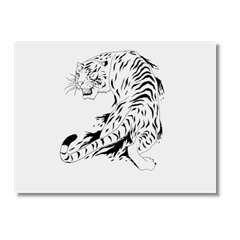 Tigre bianca  Poster carta opaca