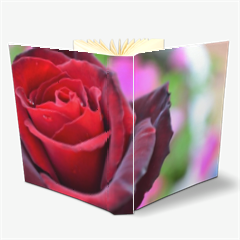 gocce su rose Album Fotografico Tessuto 24x30