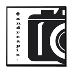 andreapis'logo Stampe su Legno Moderno