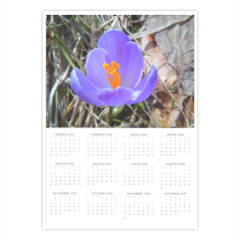 Crocus Foto Calendario A4 pagina singola