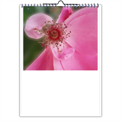 rosa canina Foto Calendario A4 multi pagina