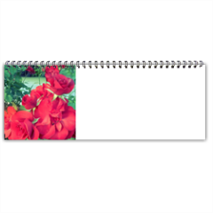 Rose di montagna Foto Calendario Scrivania Panoramico