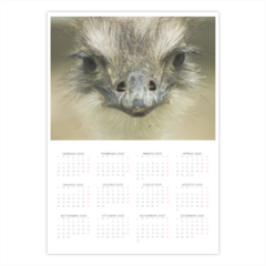 Tappetino mouse struzzo Foto Calendario A3 pagina singola