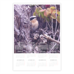 Uccellino Foto Calendario A3 pagina singola