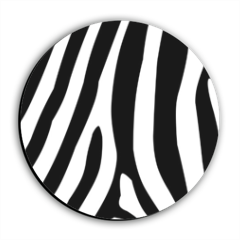 Zebra African Calamite