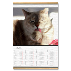 Tabatha Calendario su arazzo A3