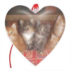 Kittens Palla di natale cuore