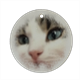 occhi di gatto Decorazioni Natalizie in Ceramica