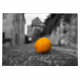 Orange alone Foto su Puzzle A3-A4