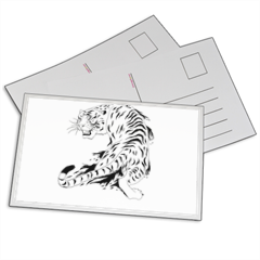 Tigre bianca  Foto su Cartoline 