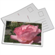 Rosa del mio Giardino Foto su Cartoline 