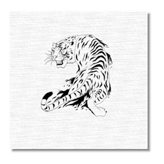 Tigre bianca  Stampa su tela - senza telaio
