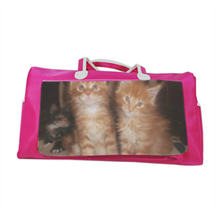 Maine coon cats Borsa palestra