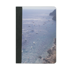 light blue Custodia iPad mini 4