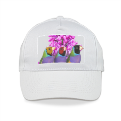 PAPPAGALLI Cappelli colorati con visiera