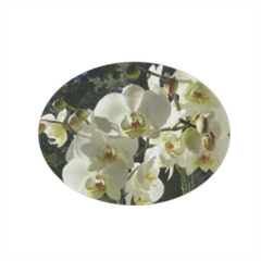 Orchidea bianca Magnete ovale grande