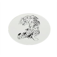 Tigre bianca  Magnete ovale grande