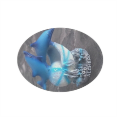 Delfini Magnete ovale grande