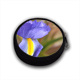 Iris viola Portamonete con Foto 