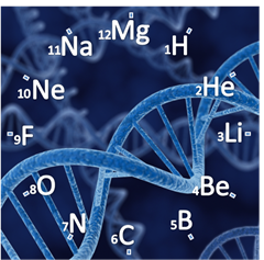 Orologio DNA con elementi