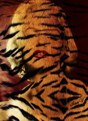Tiger soul