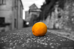 Orange alone