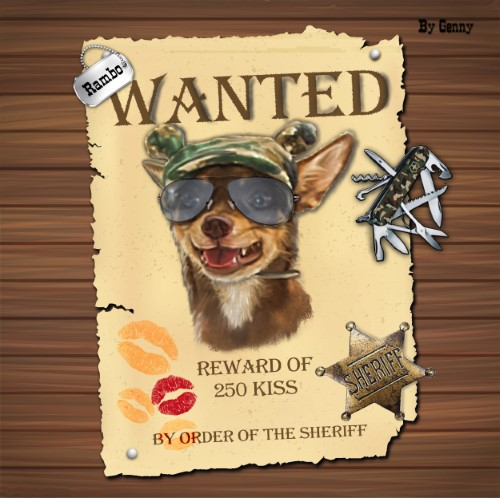 Wanted Rambo Dog