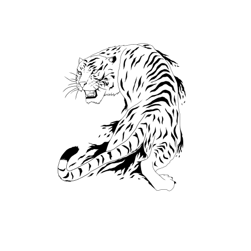 Tigre bianca 