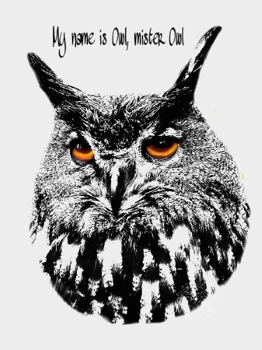 Gufo My name is Owl