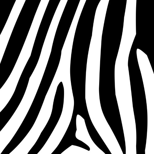 Zebra African
